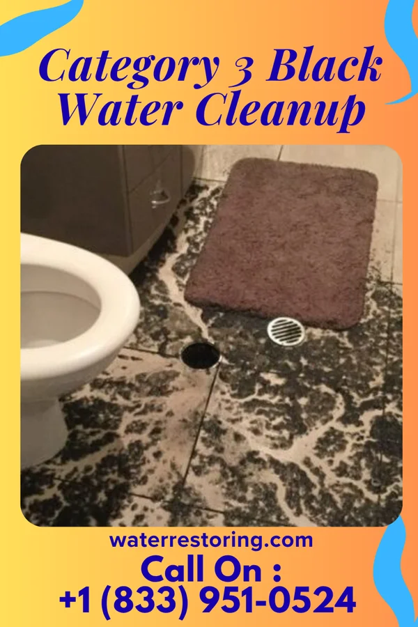 Category 3 Black Water Cleanup in Milledgeville, GA