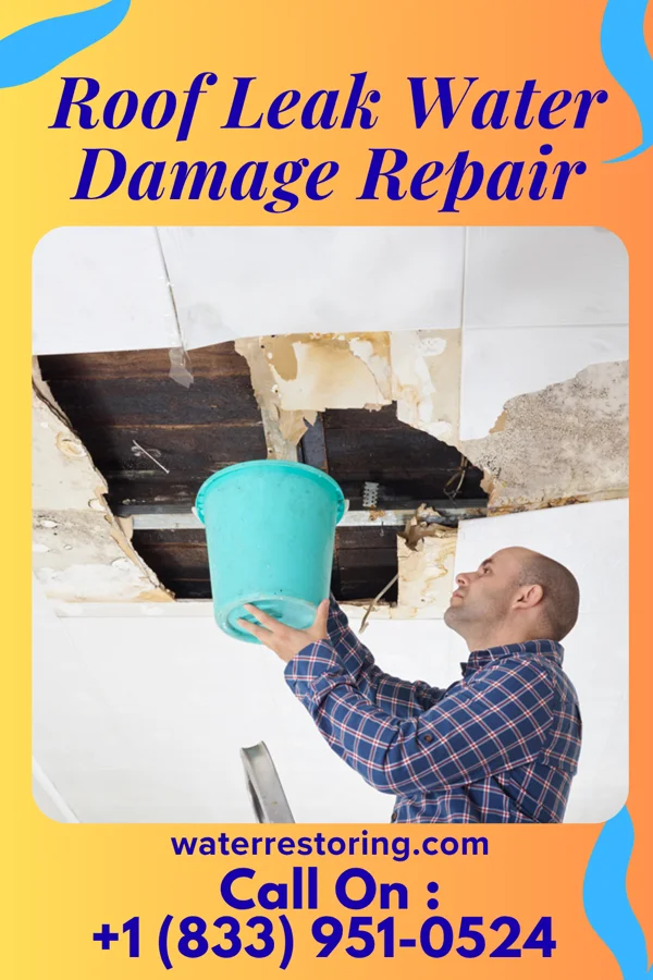 Roof Leak Water Damage Repair in Milledgeville, GA